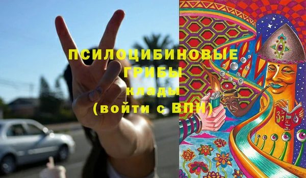 Альфа ПВП Абаза