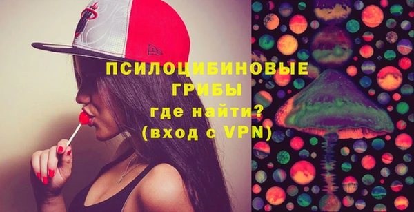 молекула духа Осташков