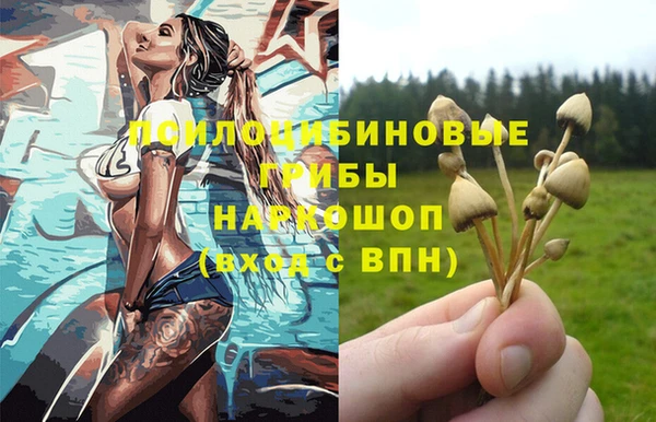 амф Абинск
