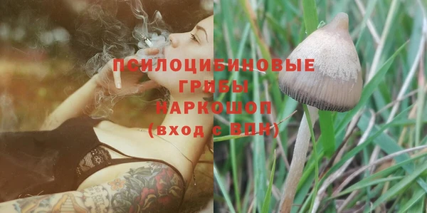 амф Абинск